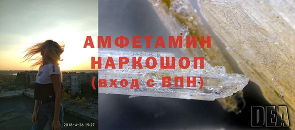 прущие грибы Балахна