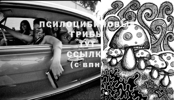 ALPHA PVP Баксан