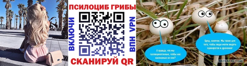 Псилоцибиновые грибы прущие грибы  Урай 